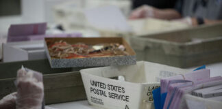 USPS worker handling mail-in ballots at a sorting facility.