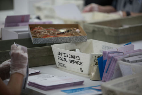shutterstock1789887020-1jpg USPS worker handling mail-in ballots at a sorting facility.