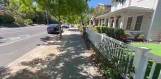 Paul Pelosi faces charges after hitting parked car, driving away